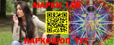 индика Кулебаки