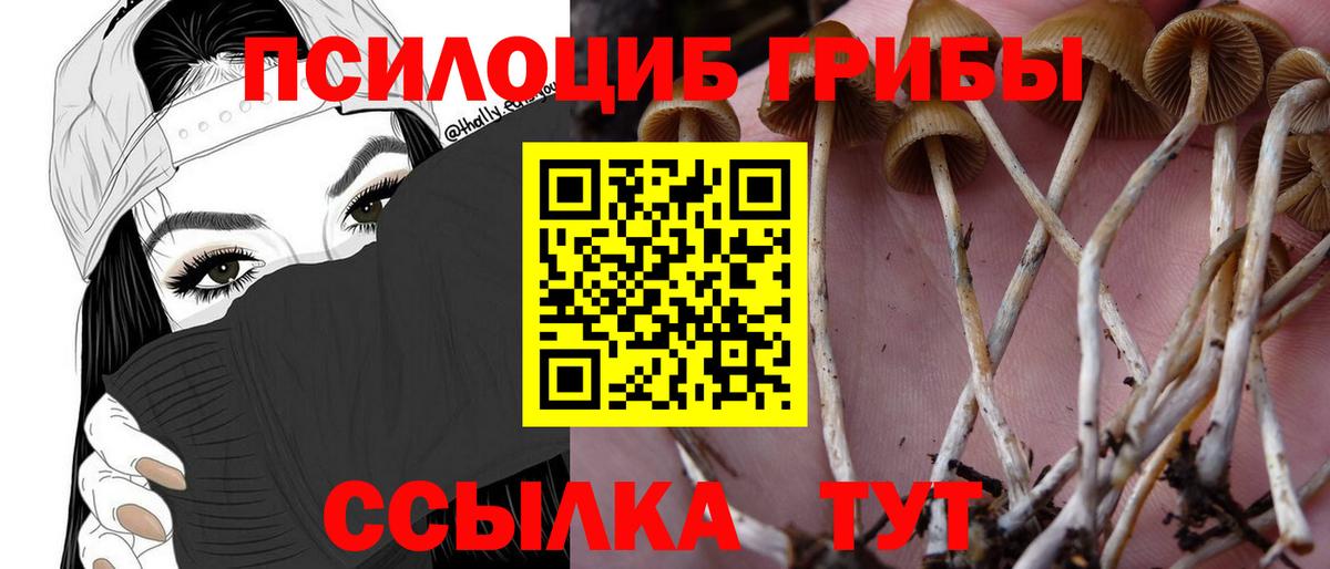 Галлюциногенные грибы мухоморы Юрга