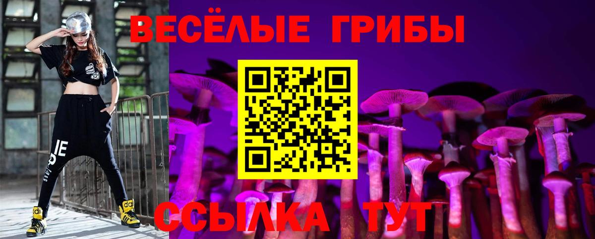 Галлюциногенные грибы ЛСД  Вход с VPN  Юрга 